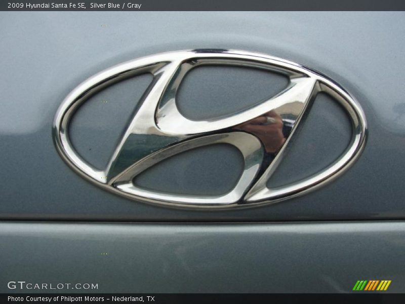 Silver Blue / Gray 2009 Hyundai Santa Fe SE