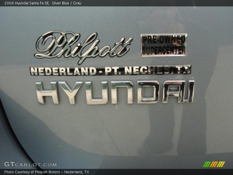 Silver Blue / Gray 2009 Hyundai Santa Fe SE
