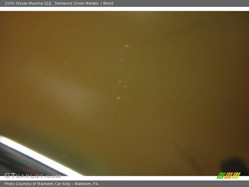 Sherwood Green Metallic / Blond 2000 Nissan Maxima GLE