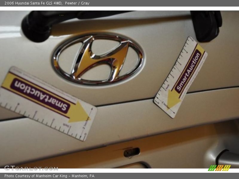Pewter / Gray 2006 Hyundai Santa Fe GLS 4WD