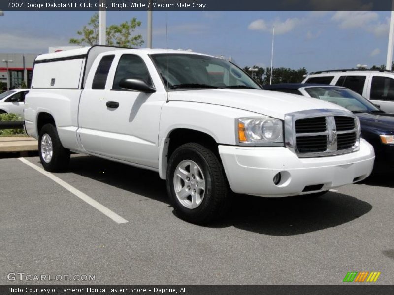 Bright White / Medium Slate Gray 2007 Dodge Dakota SLT Club Cab