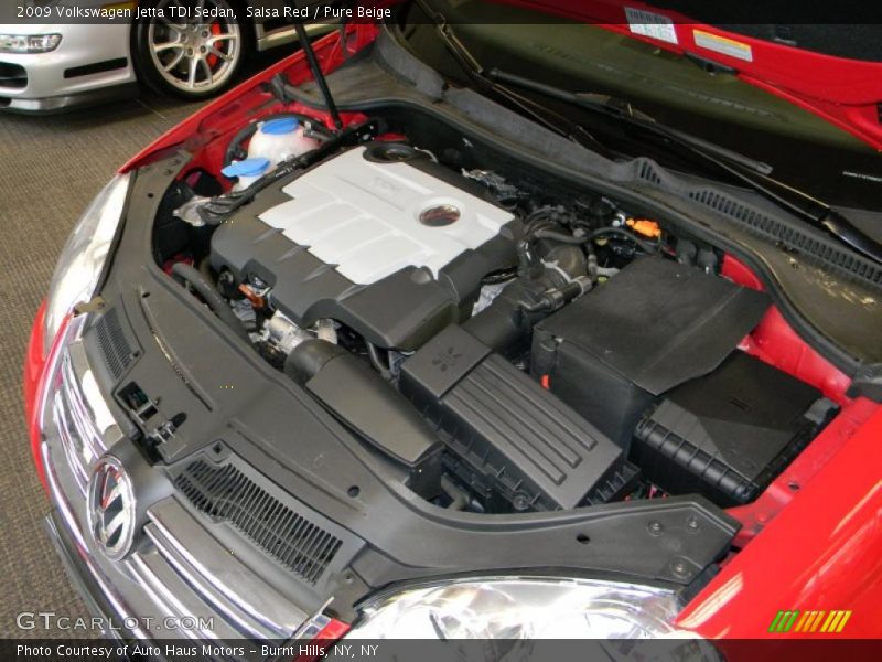 Salsa Red / Pure Beige 2009 Volkswagen Jetta TDI Sedan