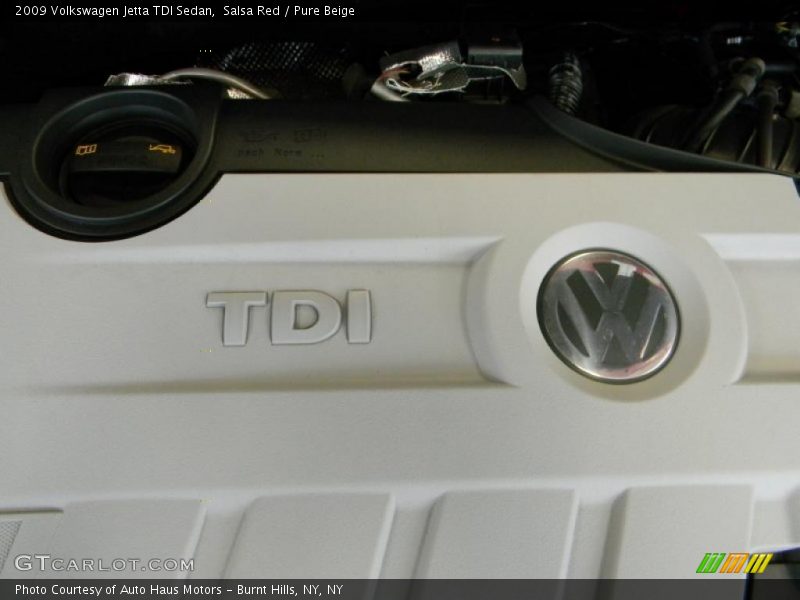Salsa Red / Pure Beige 2009 Volkswagen Jetta TDI Sedan