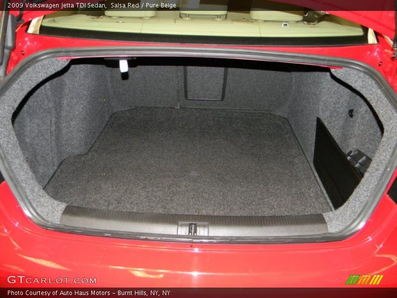 Salsa Red / Pure Beige 2009 Volkswagen Jetta TDI Sedan