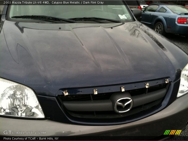 Calypso Blue Metallic / Dark Flint Gray 2003 Mazda Tribute LX-V6 4WD