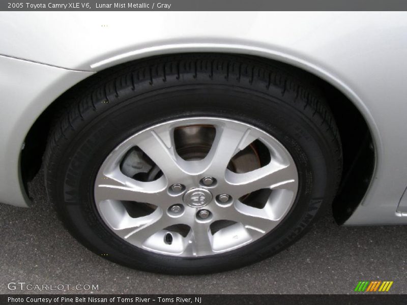 Lunar Mist Metallic / Gray 2005 Toyota Camry XLE V6