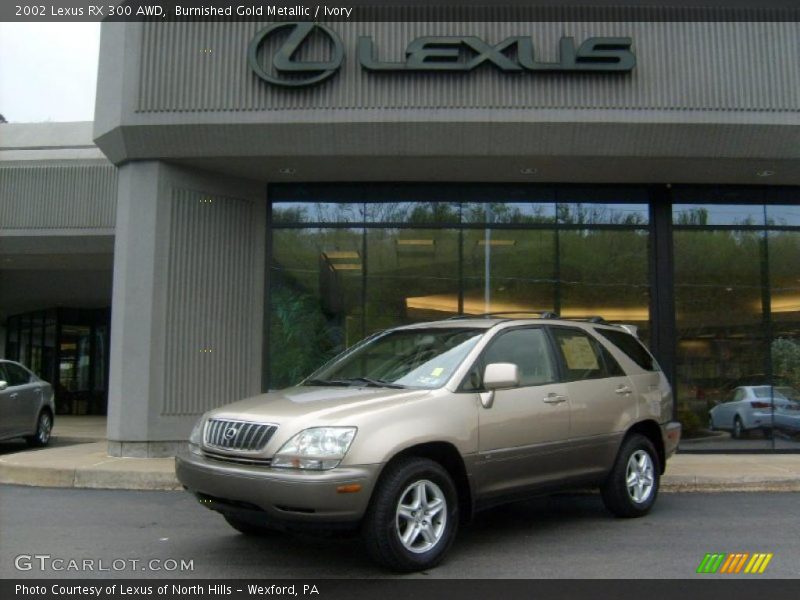 Burnished Gold Metallic / Ivory 2002 Lexus RX 300 AWD