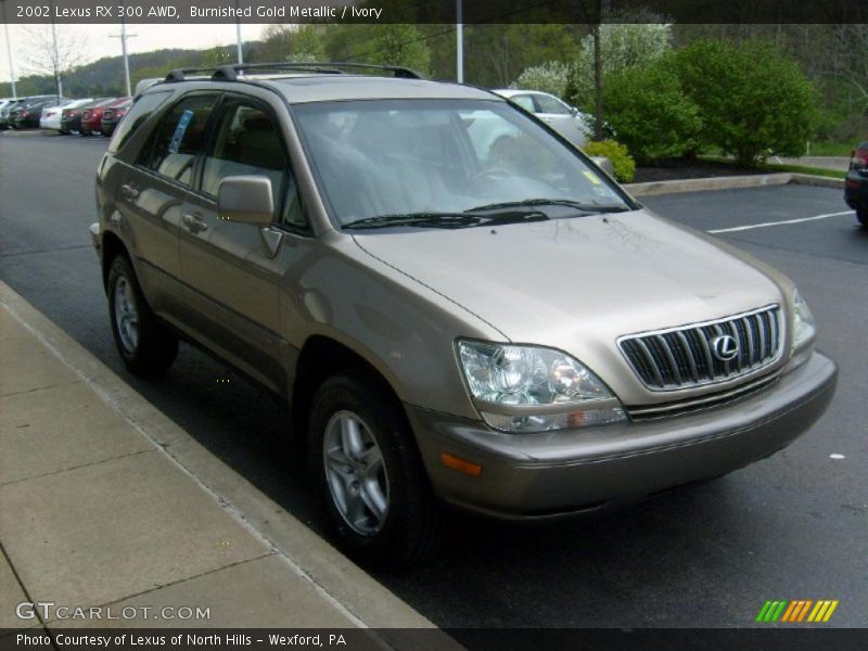 Burnished Gold Metallic / Ivory 2002 Lexus RX 300 AWD