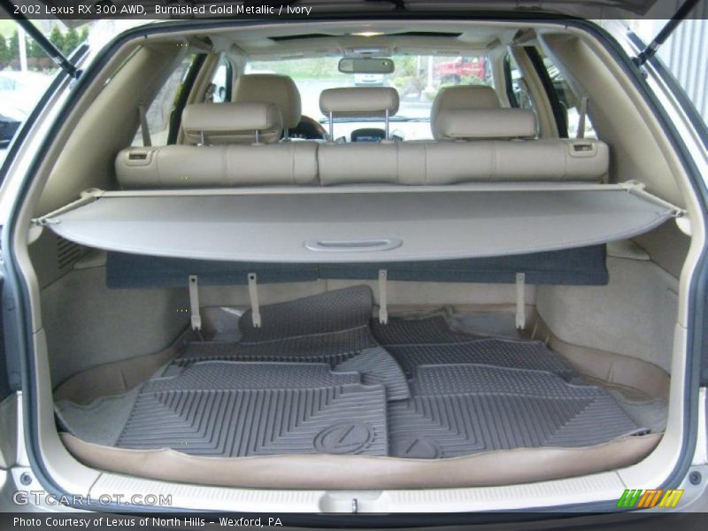 Burnished Gold Metallic / Ivory 2002 Lexus RX 300 AWD