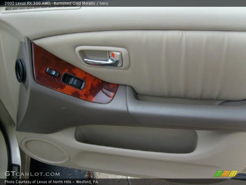 Burnished Gold Metallic / Ivory 2002 Lexus RX 300 AWD