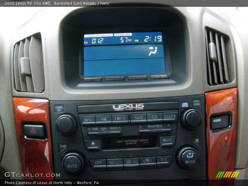 Burnished Gold Metallic / Ivory 2002 Lexus RX 300 AWD