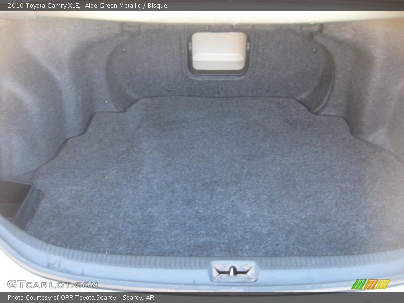 Aloe Green Metallic / Bisque 2010 Toyota Camry XLE