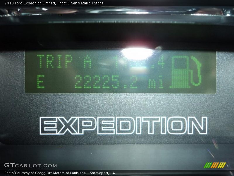 Ingot Silver Metallic / Stone 2010 Ford Expedition Limited