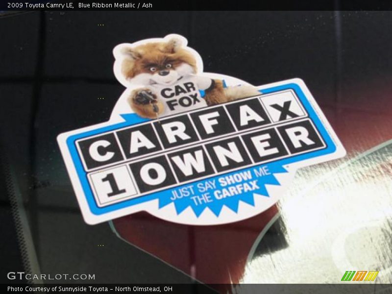 Blue Ribbon Metallic / Ash 2009 Toyota Camry LE