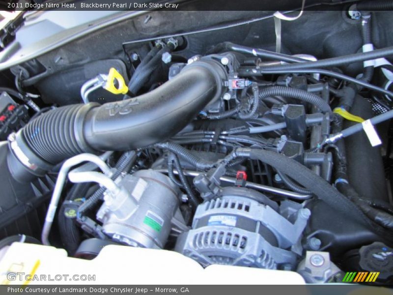 Blackberry Pearl / Dark Slate Gray 2011 Dodge Nitro Heat