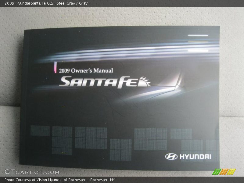 Steel Gray / Gray 2009 Hyundai Santa Fe GLS