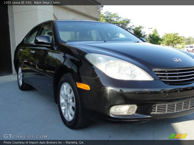 Black Onyx / Ivory 2003 Lexus ES 300