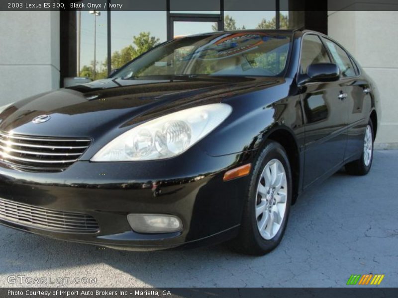 Black Onyx / Ivory 2003 Lexus ES 300