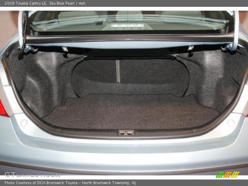 Sky Blue Pearl / Ash 2009 Toyota Camry LE