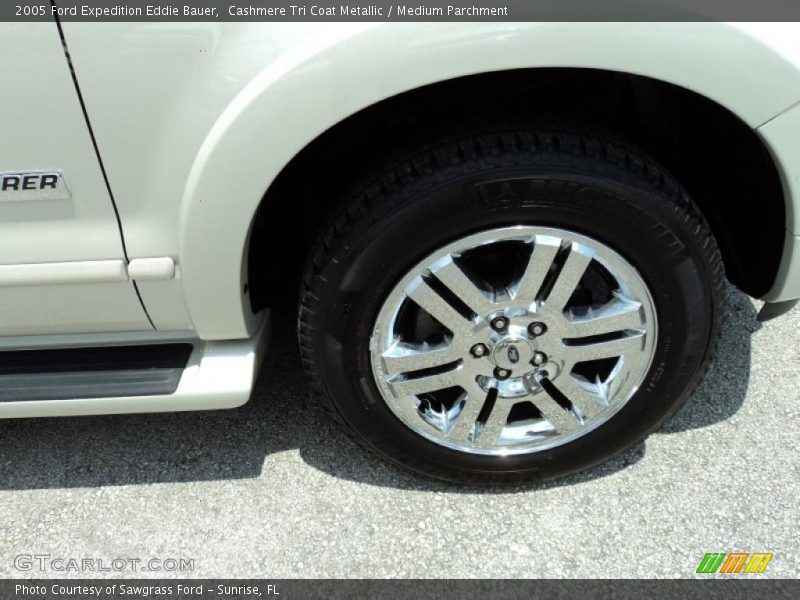 Cashmere Tri Coat Metallic / Medium Parchment 2005 Ford Expedition Eddie Bauer