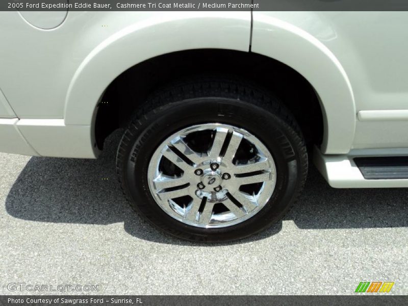 Cashmere Tri Coat Metallic / Medium Parchment 2005 Ford Expedition Eddie Bauer
