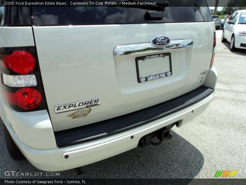 Cashmere Tri Coat Metallic / Medium Parchment 2005 Ford Expedition Eddie Bauer