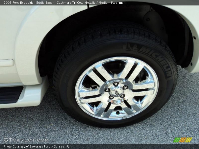 Cashmere Tri Coat Metallic / Medium Parchment 2005 Ford Expedition Eddie Bauer