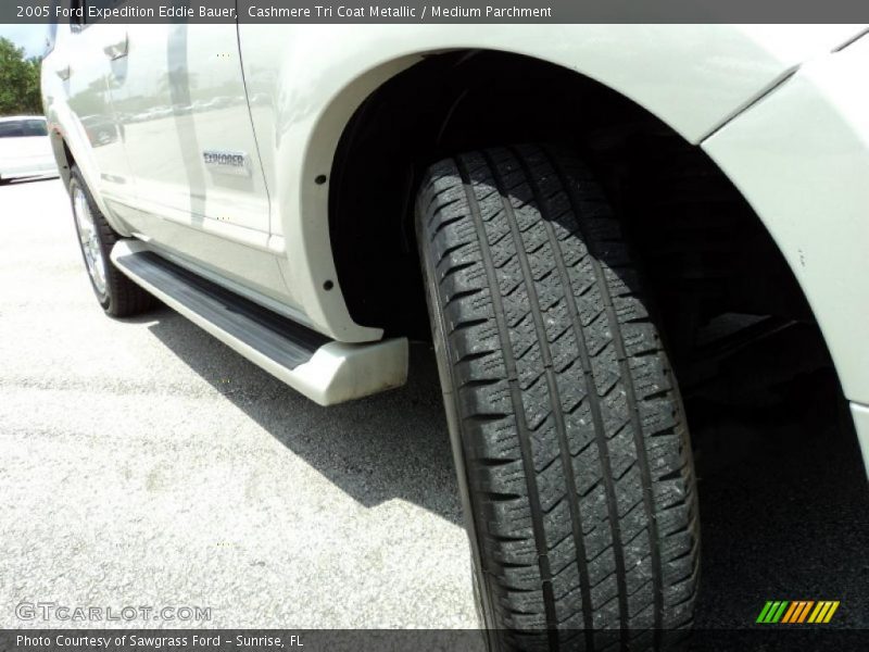 Cashmere Tri Coat Metallic / Medium Parchment 2005 Ford Expedition Eddie Bauer