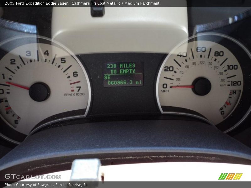 Cashmere Tri Coat Metallic / Medium Parchment 2005 Ford Expedition Eddie Bauer