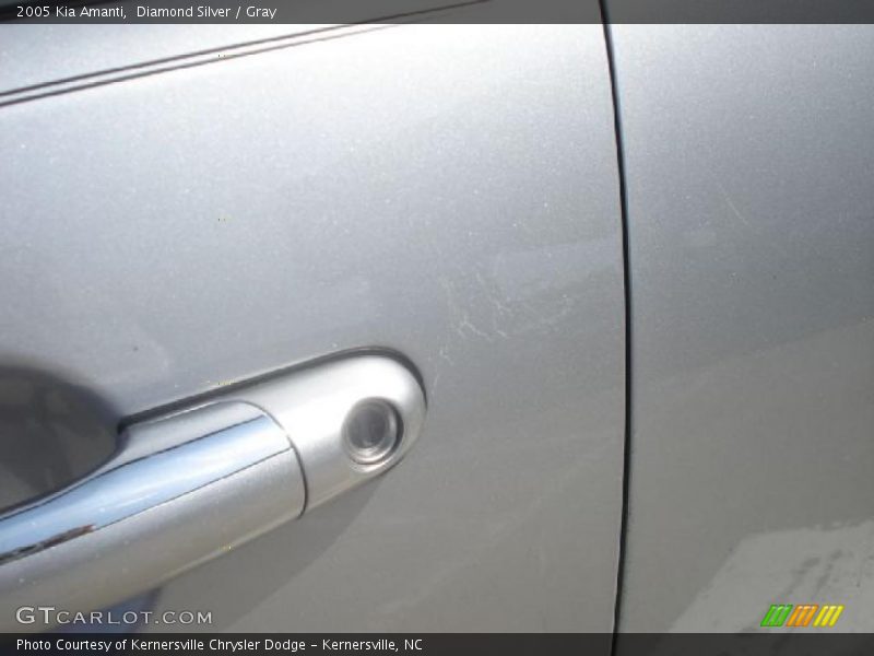 Diamond Silver / Gray 2005 Kia Amanti