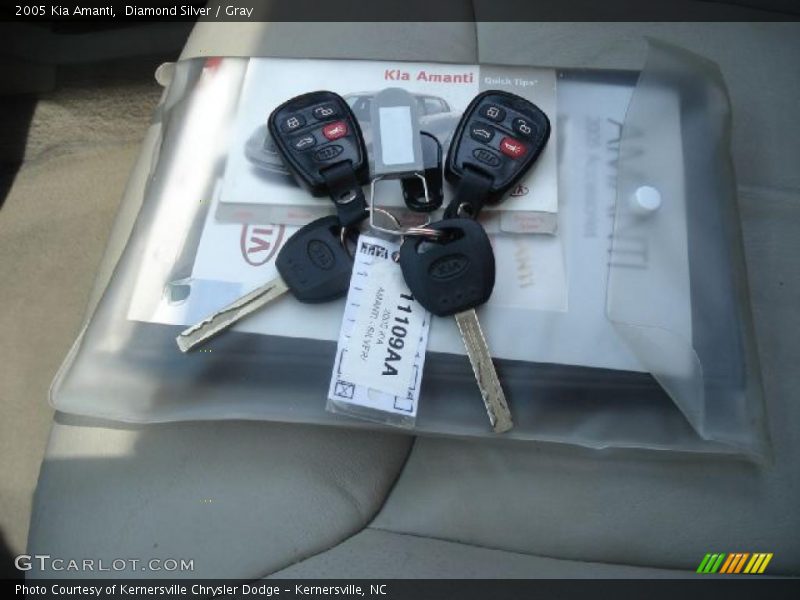 Diamond Silver / Gray 2005 Kia Amanti