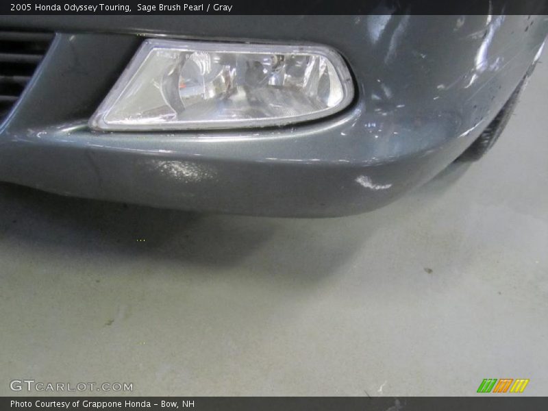Sage Brush Pearl / Gray 2005 Honda Odyssey Touring