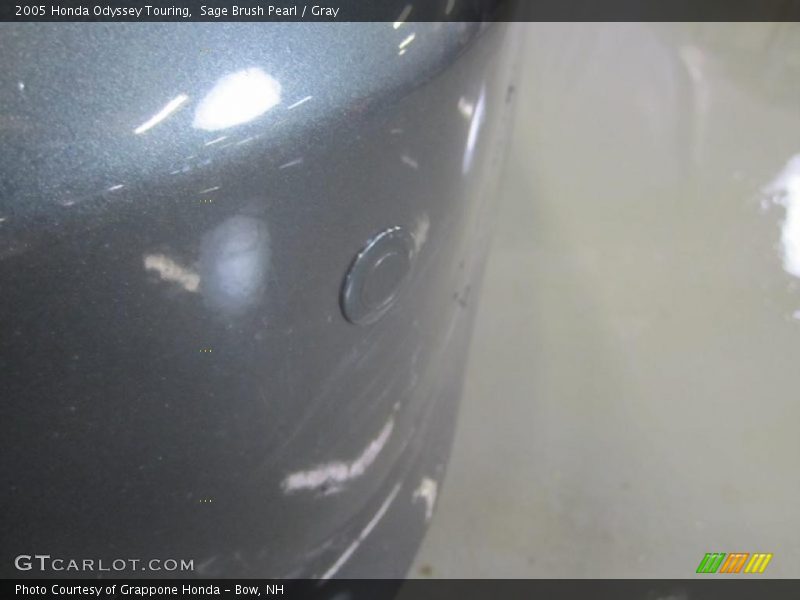 Sage Brush Pearl / Gray 2005 Honda Odyssey Touring