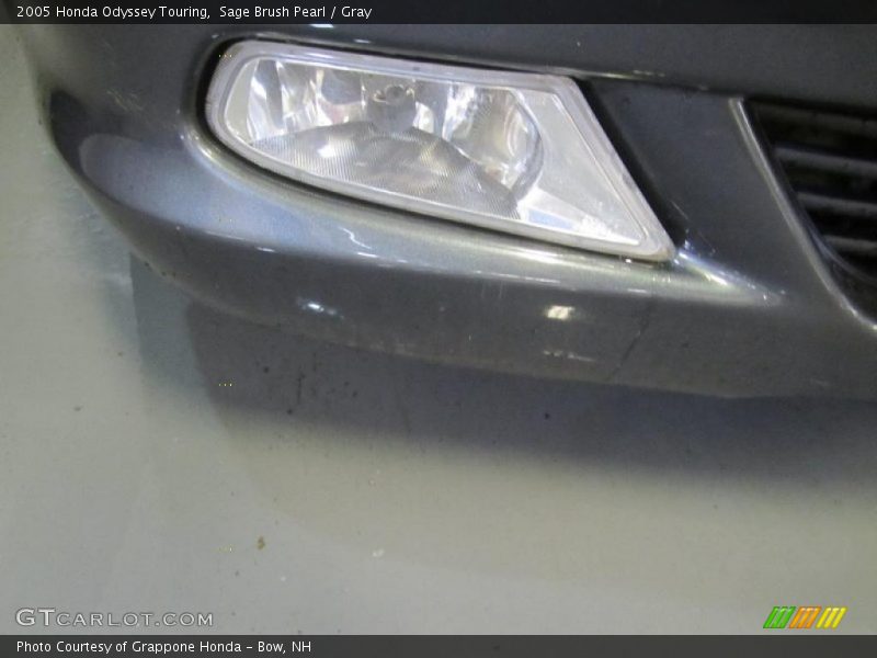 Sage Brush Pearl / Gray 2005 Honda Odyssey Touring