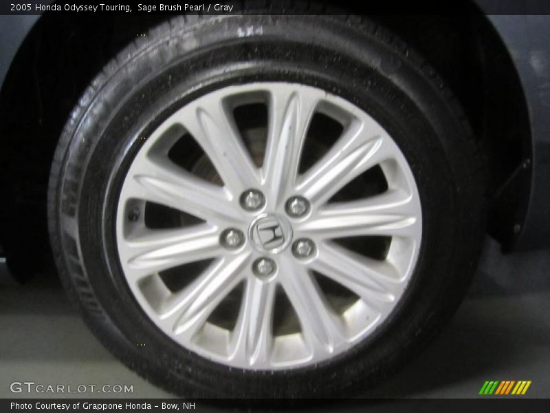 Sage Brush Pearl / Gray 2005 Honda Odyssey Touring