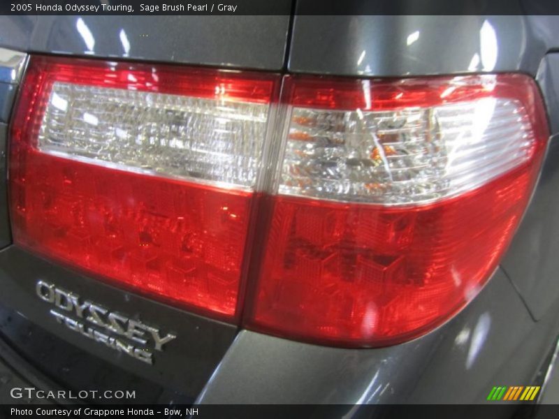 Sage Brush Pearl / Gray 2005 Honda Odyssey Touring