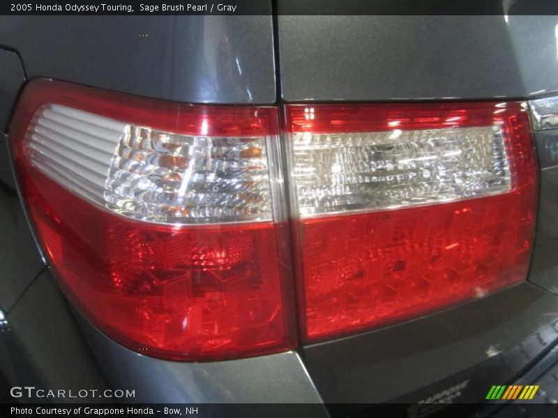 Sage Brush Pearl / Gray 2005 Honda Odyssey Touring