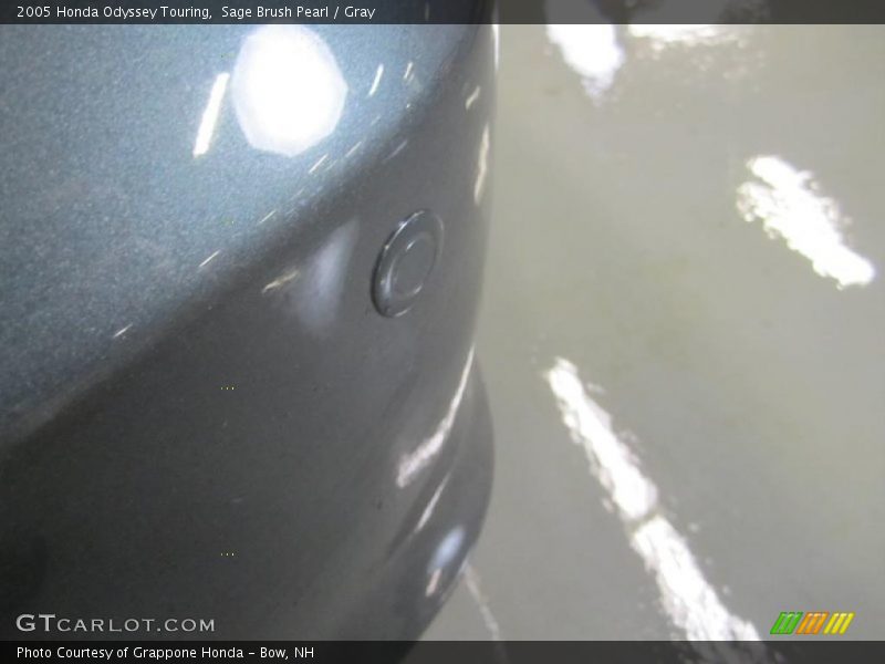 Sage Brush Pearl / Gray 2005 Honda Odyssey Touring