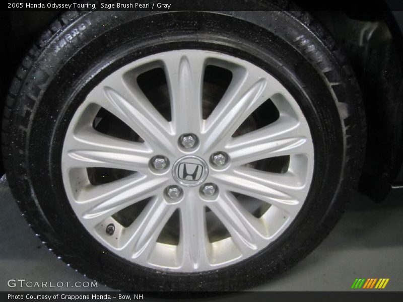 Sage Brush Pearl / Gray 2005 Honda Odyssey Touring