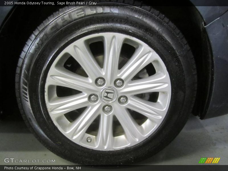 Sage Brush Pearl / Gray 2005 Honda Odyssey Touring