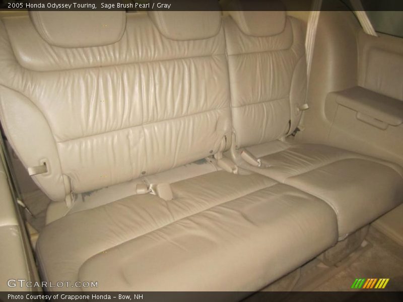 Sage Brush Pearl / Gray 2005 Honda Odyssey Touring