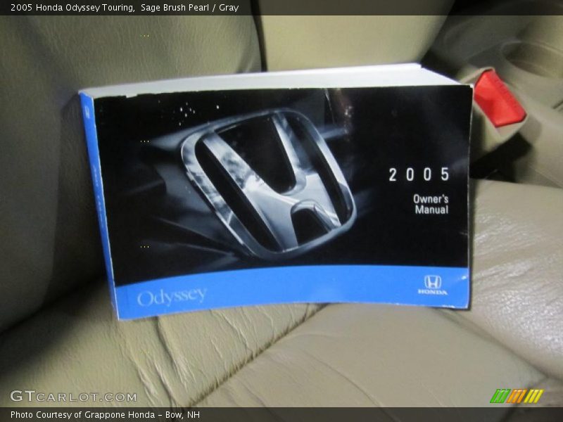 Sage Brush Pearl / Gray 2005 Honda Odyssey Touring