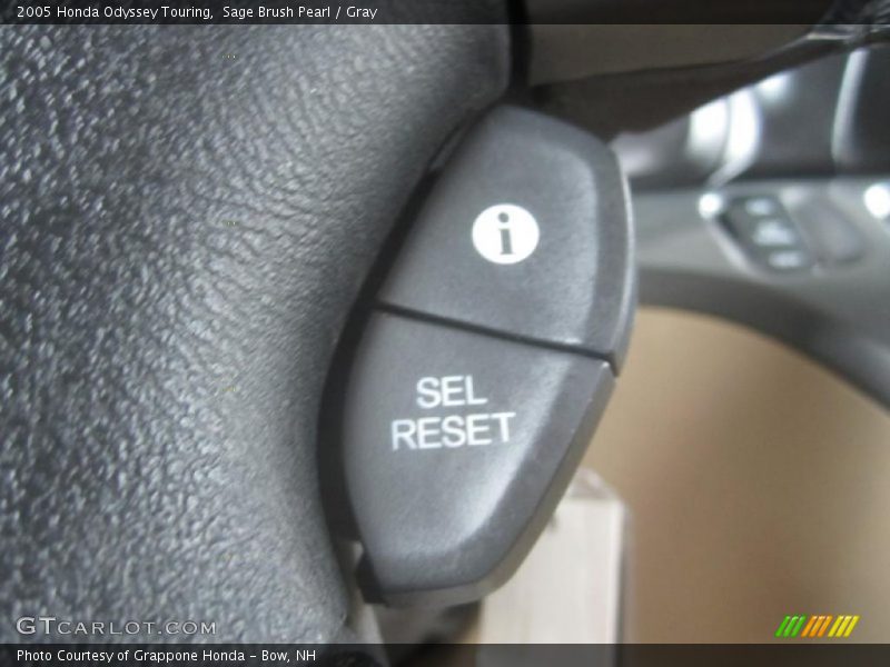 Sage Brush Pearl / Gray 2005 Honda Odyssey Touring