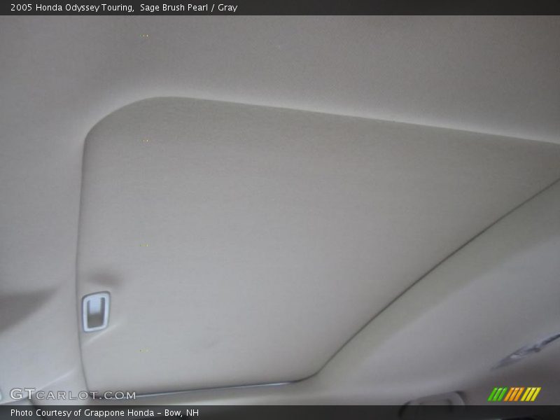Sage Brush Pearl / Gray 2005 Honda Odyssey Touring