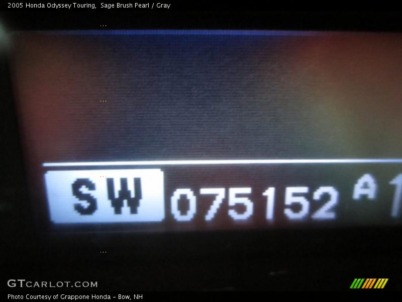 Sage Brush Pearl / Gray 2005 Honda Odyssey Touring