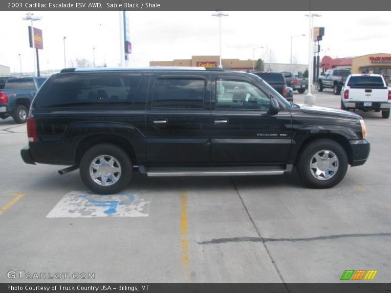 Sable Black / Shale 2003 Cadillac Escalade ESV AWD