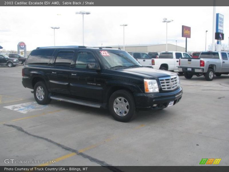 Sable Black / Shale 2003 Cadillac Escalade ESV AWD