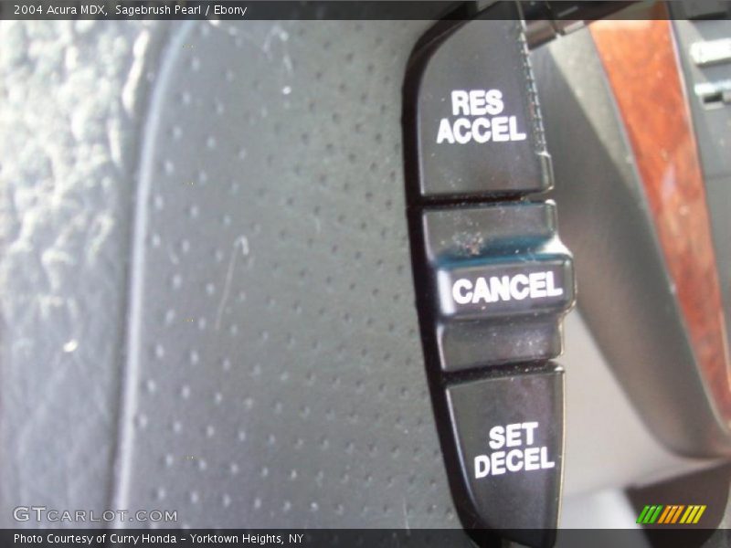 Sagebrush Pearl / Ebony 2004 Acura MDX