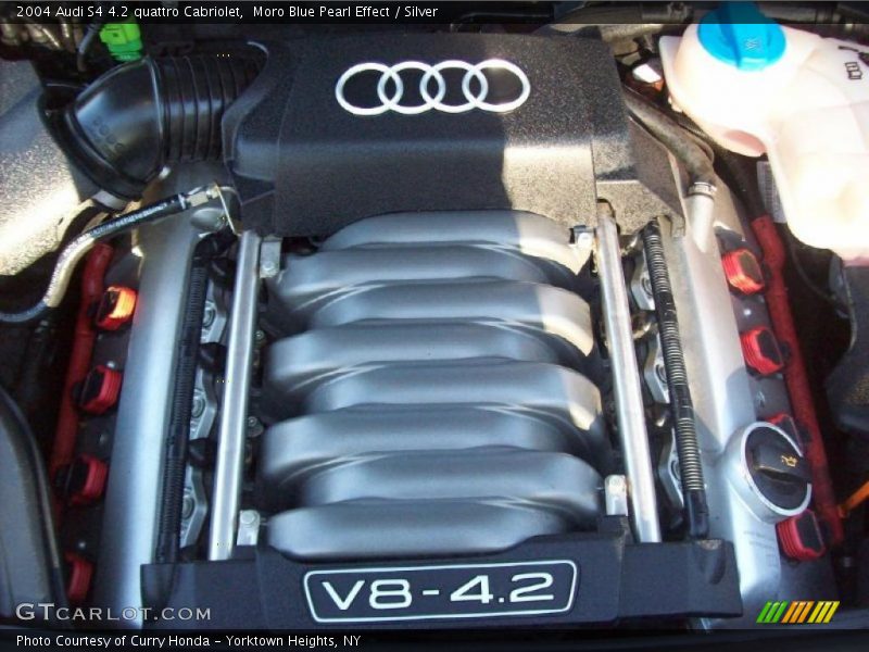  2004 S4 4.2 quattro Cabriolet Engine - 4.2 Liter DOHC 40-Valve V8