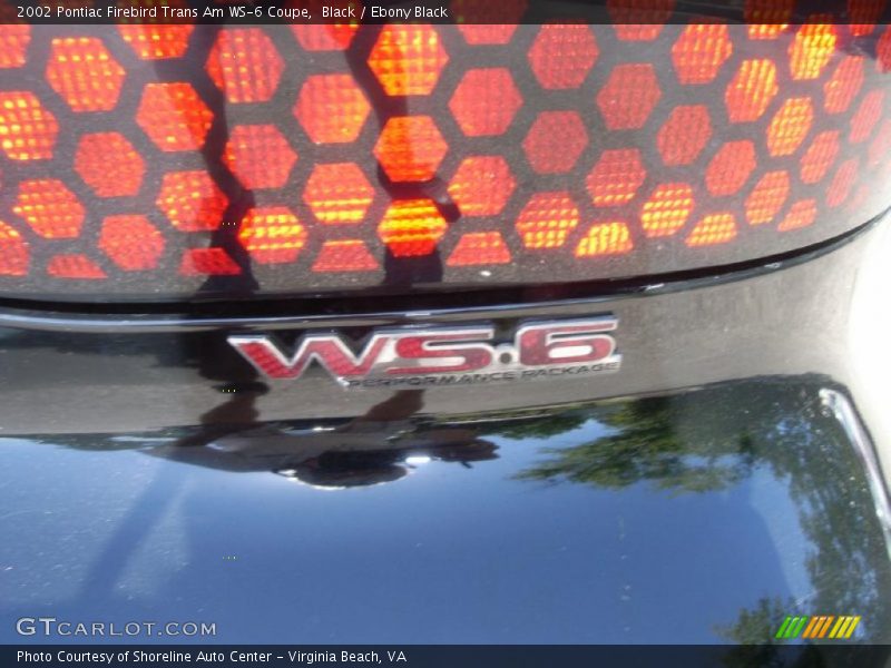  2002 Firebird Trans Am WS-6 Coupe Logo
